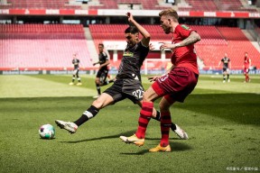 包含赛地聚焦——德国杯赛后热度飙升，托特纳姆门线救险，底气十足，控场能力受关注的词条